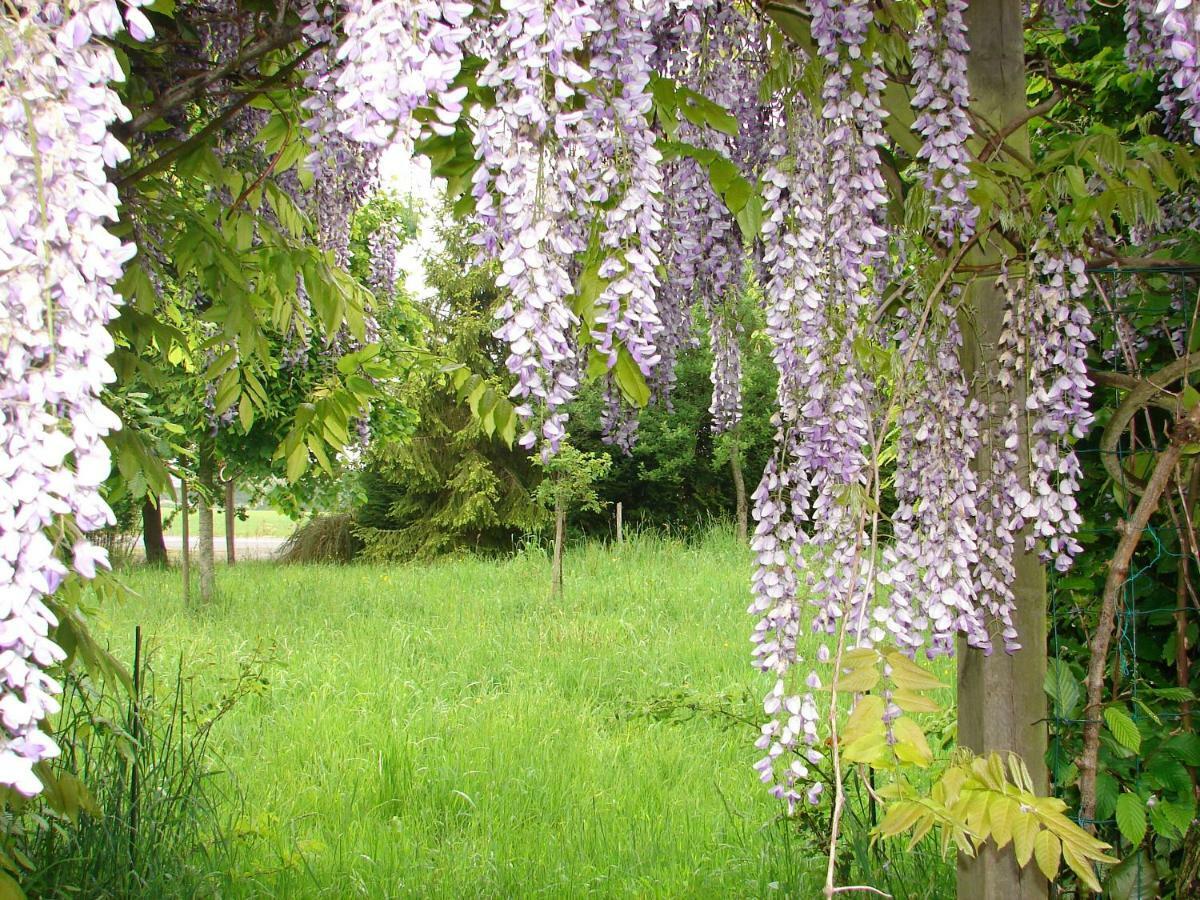 Gite Climatise De La Haute Rue Touvois Экстерьер фото