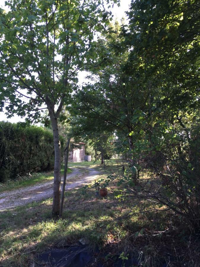 Gite Climatise De La Haute Rue Touvois Экстерьер фото