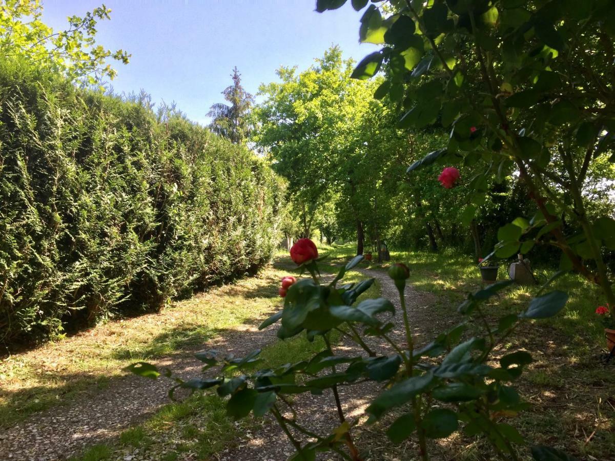 Gite Climatise De La Haute Rue Touvois Экстерьер фото